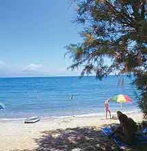 zobacz camping - zdjęcie 7