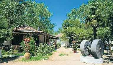 zobacz camping - zdjęcie 6