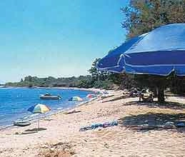 zobacz camping - zdjęcie 3