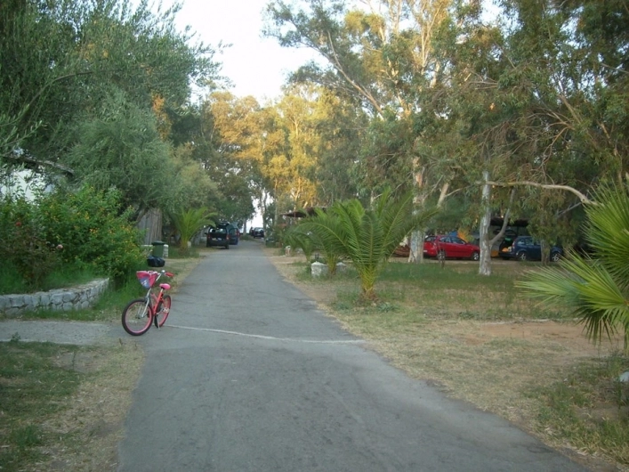 zobacz camping - zdjęcie 2