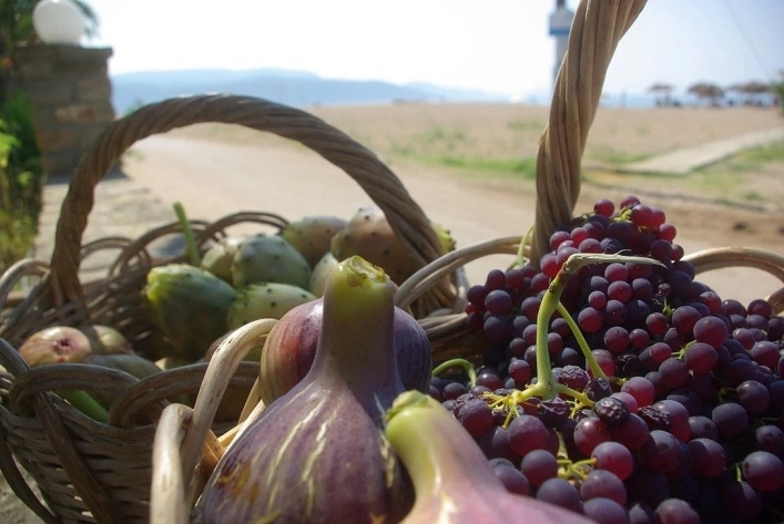 zobacz camping - zdjęcie 21