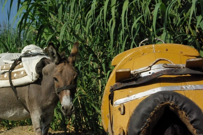 Campsite Thines - zdjęcie 4