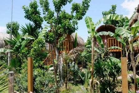 Campsite Triton II - zdjęcie 3