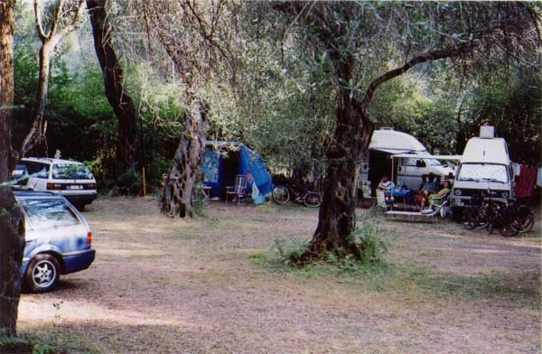 zobacz camping - zdjęcie 10