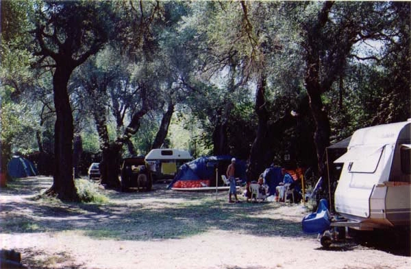 zobacz camping - zdjęcie 9