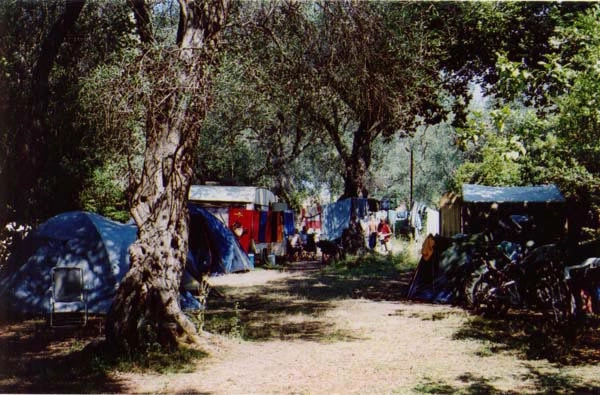 zobacz camping - zdjęcie 8