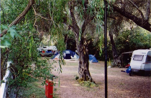 Dolphin Camping - zdjęcie 1