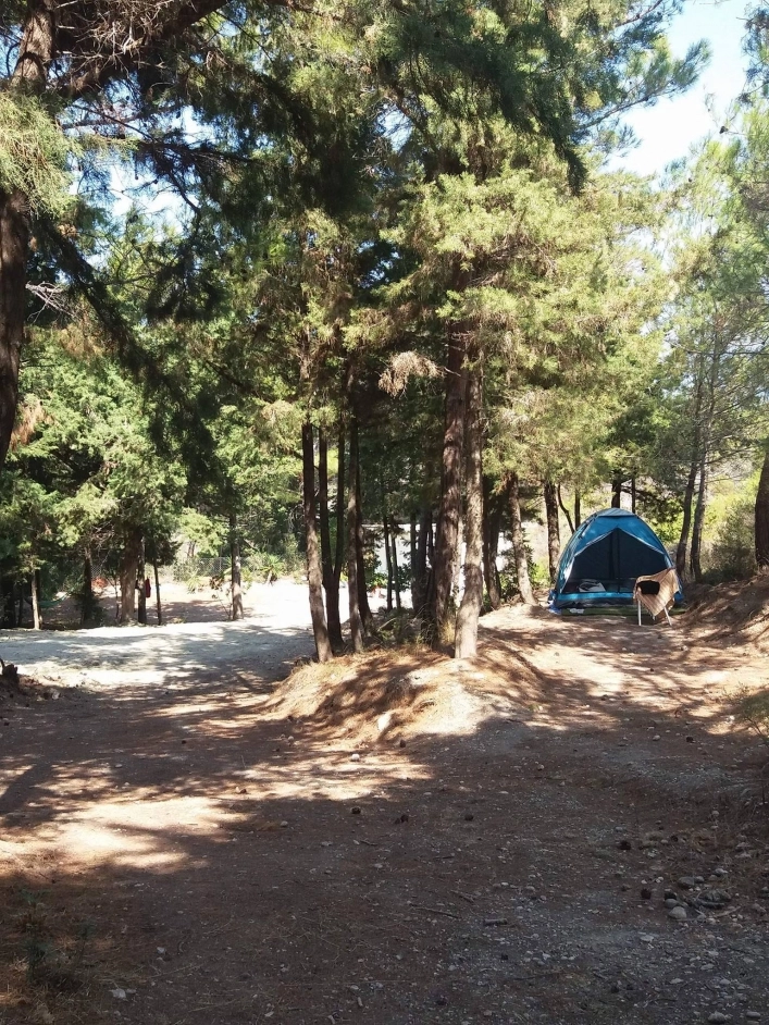 zobacz camping - zdjęcie 26