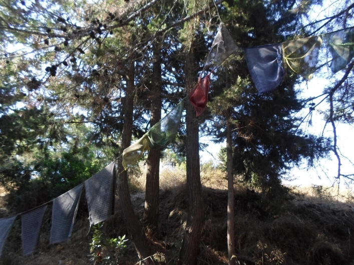 zobacz camping - zdjęcie 25