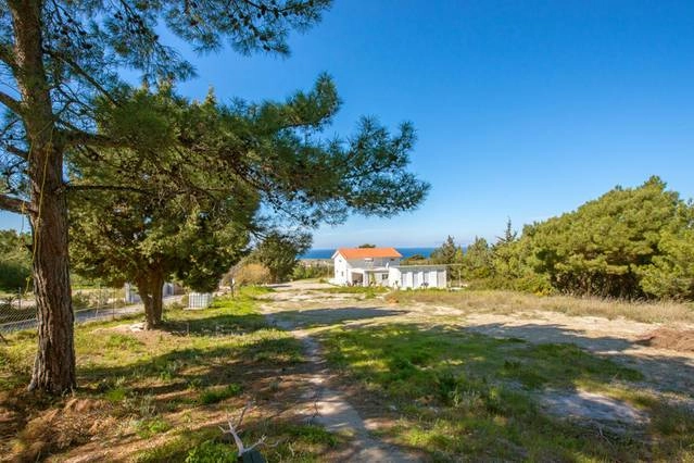 zobacz camping - zdjęcie 24