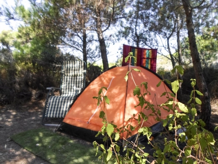 zobacz camping - zdjęcie 23