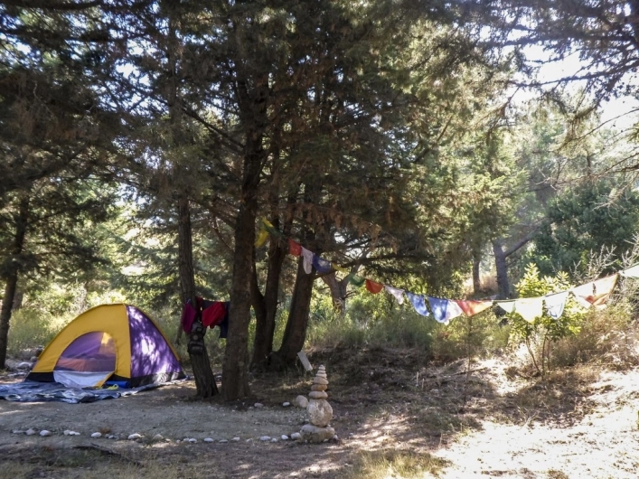 zobacz camping - zdjęcie 18