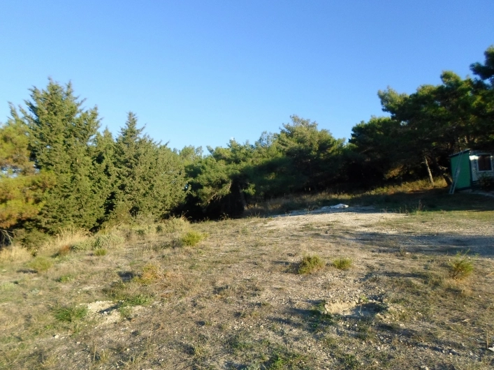 zobacz camping - zdjęcie 17