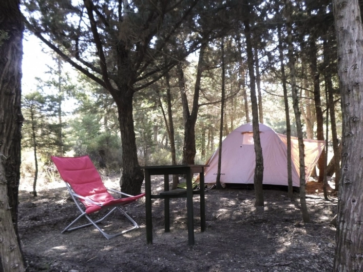 zobacz camping - zdjęcie 15