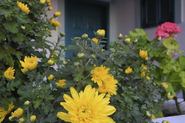 zobacz camping - zdjęcie 14