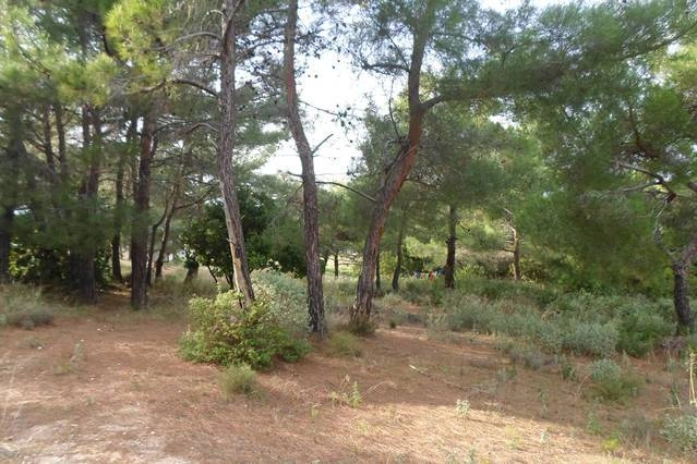 zobacz camping - zdjęcie 11