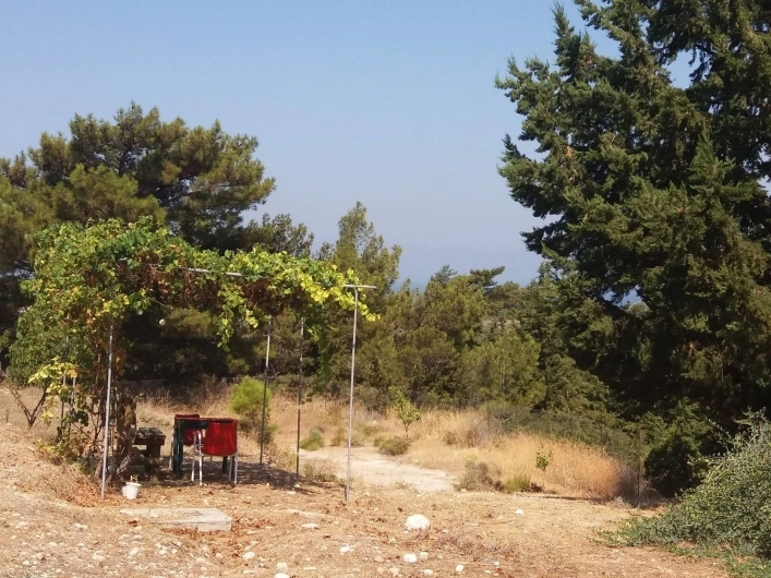 zobacz camping - zdjęcie 6