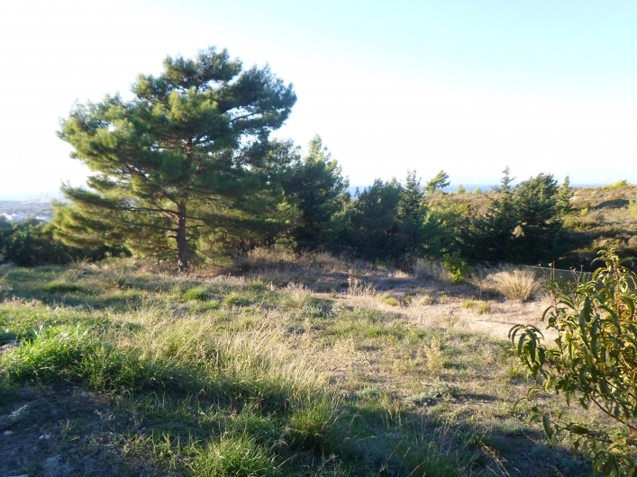 zobacz camping - zdjęcie 1