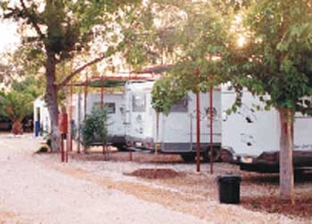 zobacz camping - zdjęcie 5