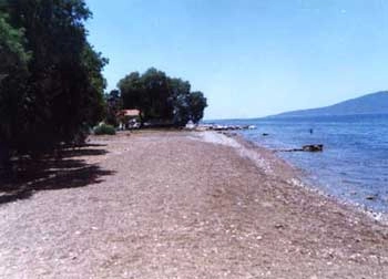 zobacz camping - zdjęcie 4