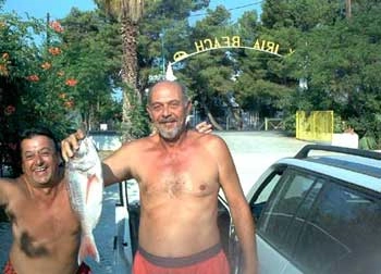 zobacz camping - zdjęcie 2