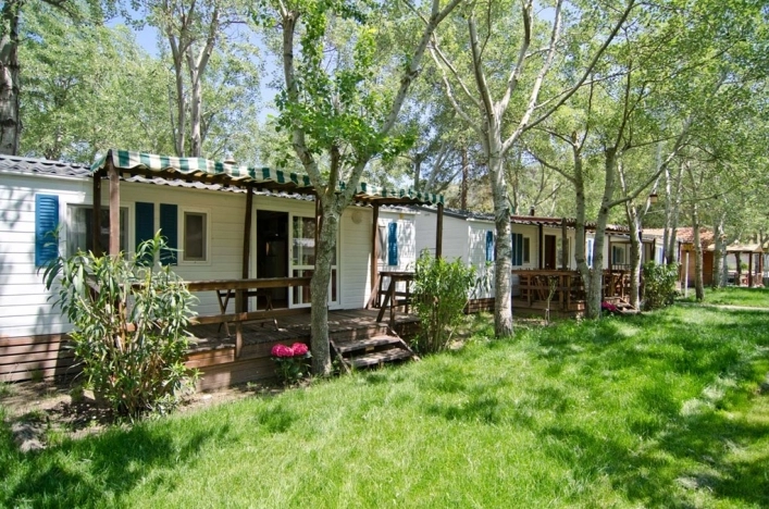 zobacz camping - zdjęcie 22