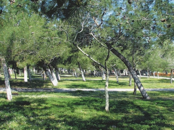 zobacz camping - zdjęcie 18