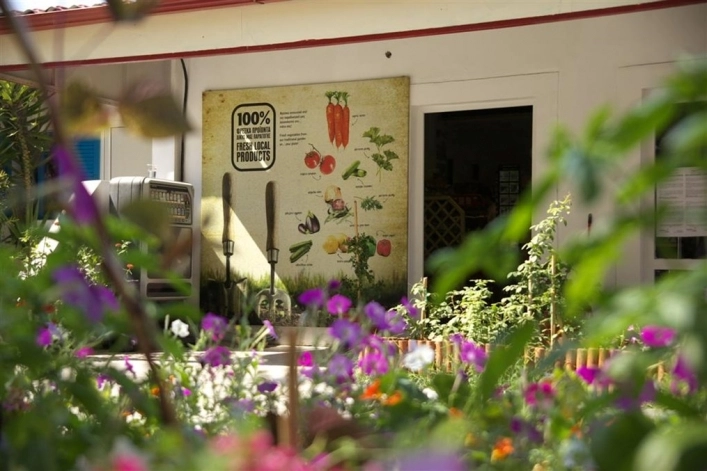 zobacz camping - zdjęcie 13