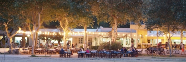 zobacz camping - zdjęcie 9