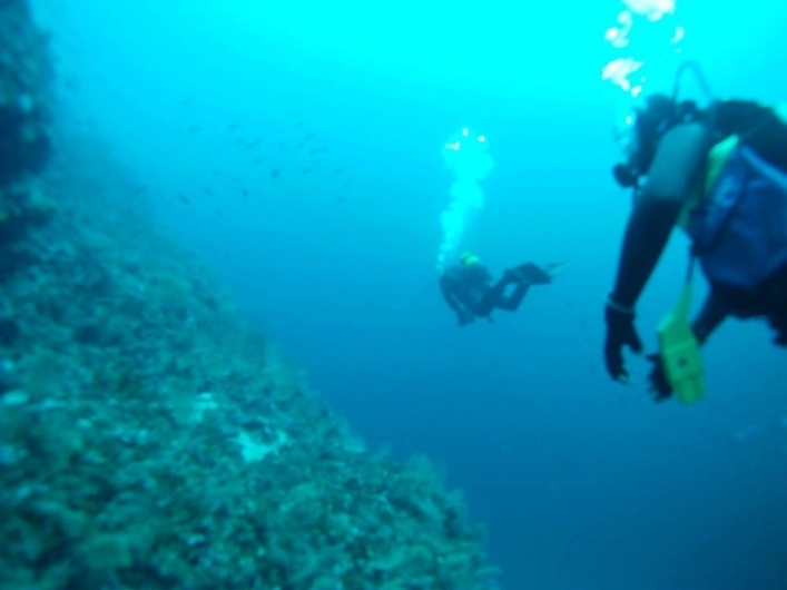 zobacz camping - zdjęcie 7