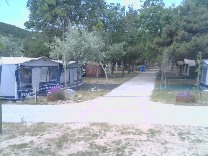 Thalatta Kalamitsi Village Camp - zdjęcie 2