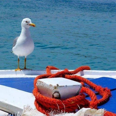 zobacz camping - zdjęcie 27