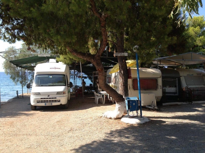 zobacz camping - zdjęcie 24