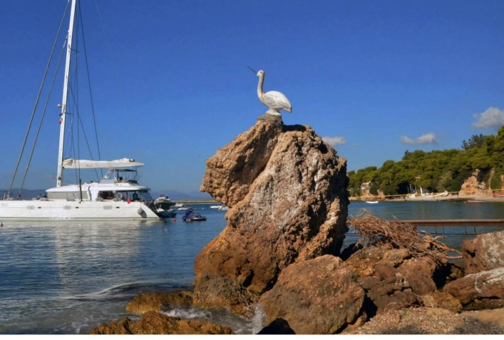 zobacz camping - zdjęcie 17