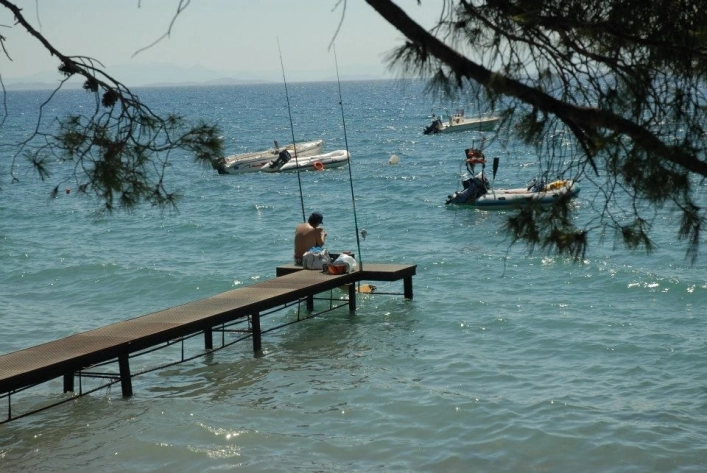 zobacz camping - zdjęcie 9