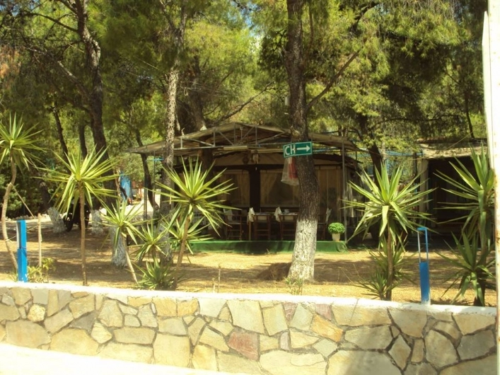 zobacz camping - zdjęcie 1