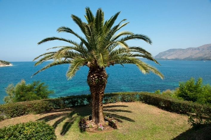 zobacz camping - zdjęcie 24