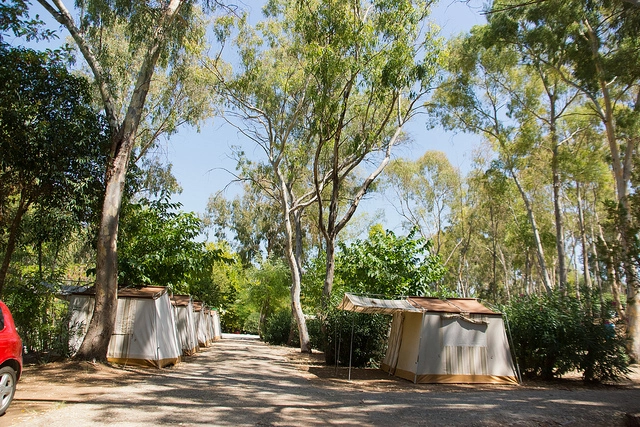 zobacz camping - zdjęcie 15