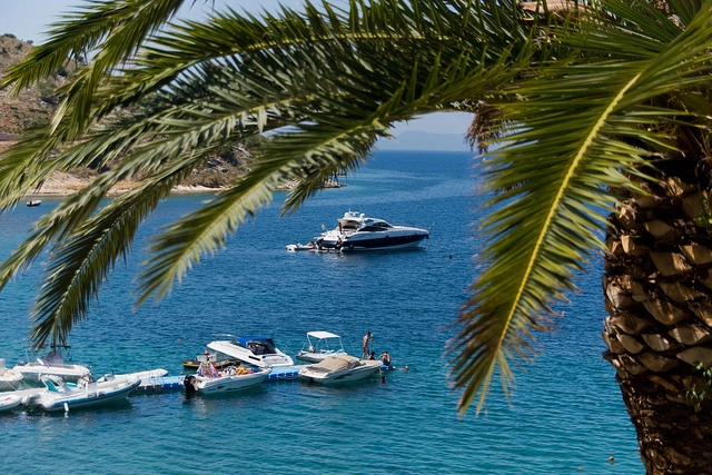 zobacz camping - zdjęcie 12