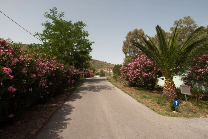 Campsite Nautilos - zdjęcie 1