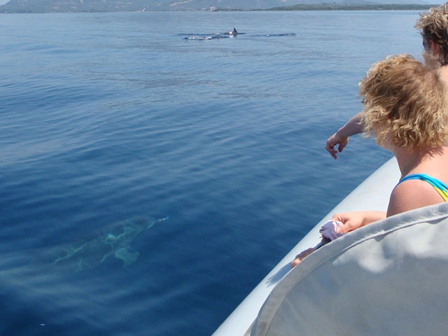 zobacz camping - zdjęcie 14