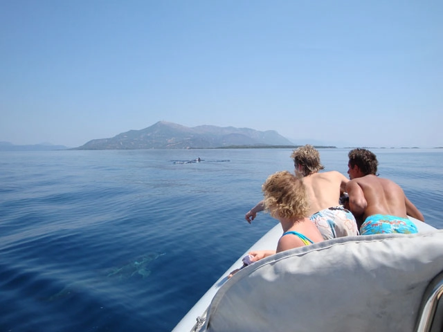 zobacz camping - zdjęcie 11