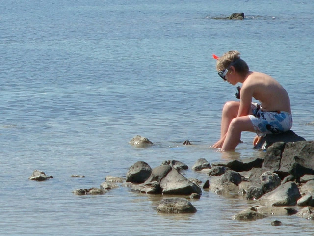 zobacz camping - zdjęcie 5