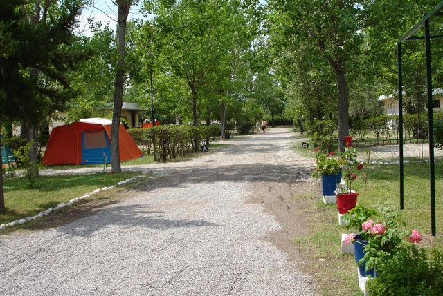 zobacz camping - zdjęcie 1