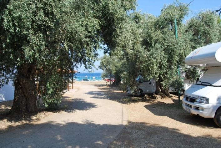 zobacz camping - zdjęcie 11