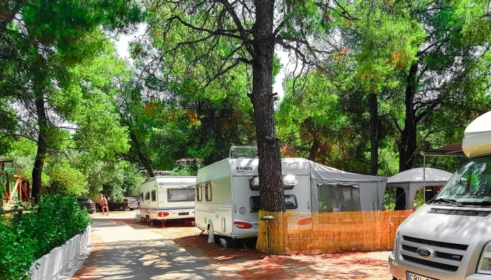 zobacz camping - zdjęcie 20