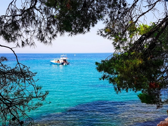 zobacz camping - zdjęcie 18