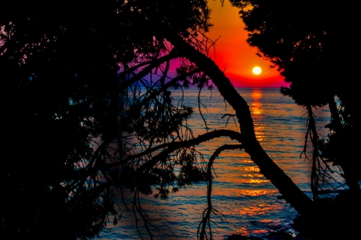 zobacz camping - zdjęcie 9