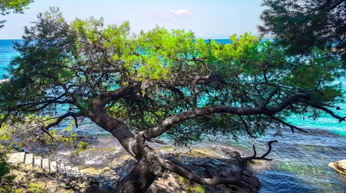 zobacz camping - zdjęcie 8