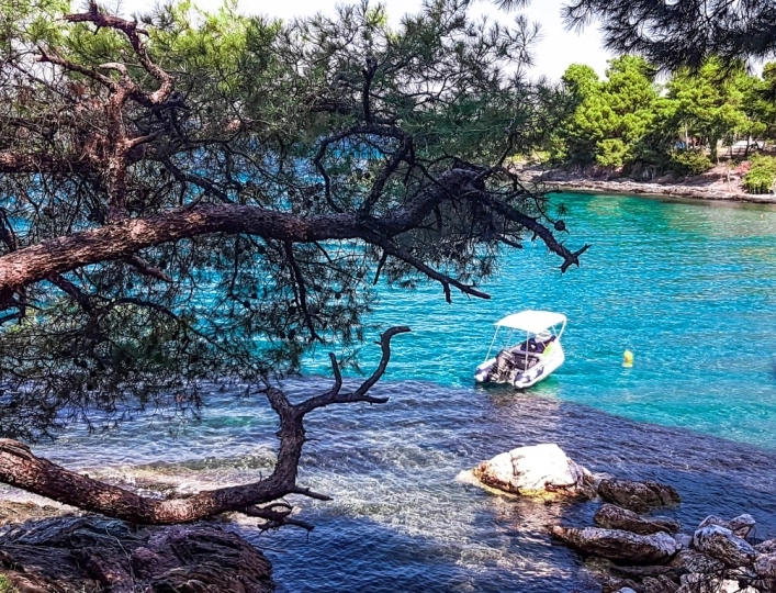 Campsite Marmara - zdjęcie 4